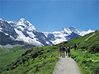 スイス観光ガイド｜ハイキング