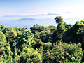 山岳地帯