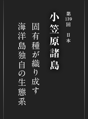 第139回 日本 小笠原諸島 固有種が織り成す 海洋島独自の生態系