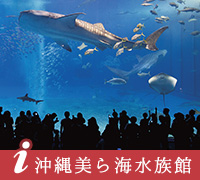 国営沖縄記念公園（海洋博公園）：沖縄美ら海水族館