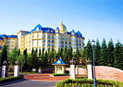 東京ディズニーランド®ホテル 外観