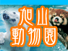 旭山動物園