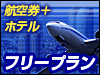 関東フリープラン