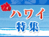 福岡発ハワイ旅行の早見表