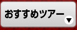 おすすめツアー