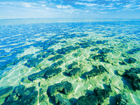 西オーストラリアのシャーク湾