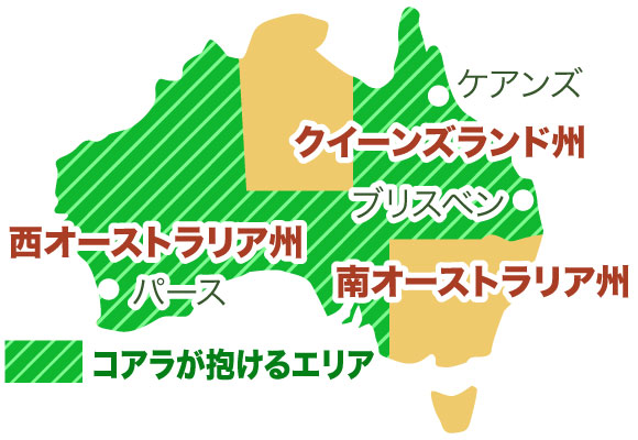 コアラが抱っこできる州地図
