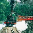 パッフィン・ビリー鉄道