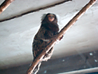北京｜北京動物園
