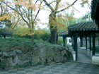 拙政園