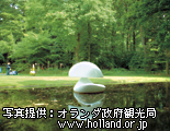 オランダ北部・中部｜デ・ホーヘ・フェルウェ国立公園