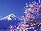 富士山（イメージ）｜関東観光ガイド
