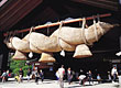山陰・山陽・四国（イメージ）｜山陰・山陽・四国観光ガイド