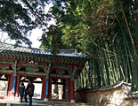 韓国南部　釜山・済州島など｜梵魚寺