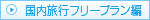 国内フリープラン編