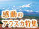 秋のアラスカ：イメージ 