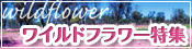 パース特集