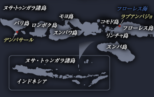 マップ