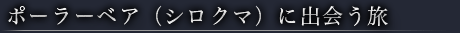 ポーラーベア（シロクマ）に出会う旅