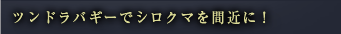 ツンドラバギーでシロクマを間近に！