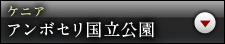 ケニアアンボセリ国立公園　