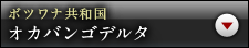 ボツワナ共和国 オカバンゴデルタ　　