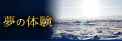 夢の体験