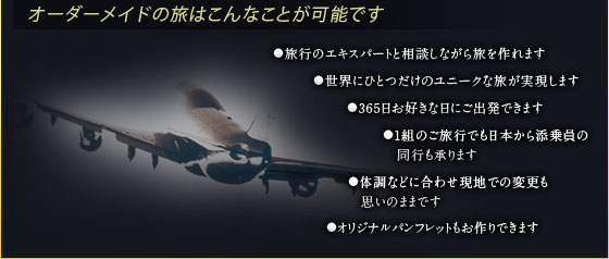 ロイヤルコレクション｜オーダーメイドの旅はこんなことが可能です。●旅行のエキスパートと相談しながら旅を作れます ●旅行のエキスパートと相談しながら旅を作れます ●365日お好きな日にご出発できます ●1組のご旅行でも日本から添乗員の同行も承ります ●体調などに合わせ現地での変更も思いのままです ●オリジナルパンフレットもお作りできます