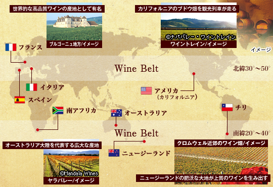 Wine Belt