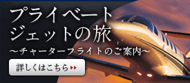 プライベートジェットの旅