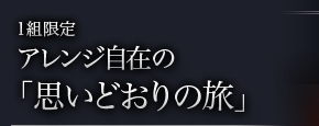 アレンジ・カスタマイズしてください 「思いどおりの旅」を実現します。 
