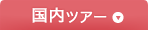 国内ツアー