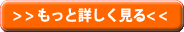写真アルバムをもっと詳しく見る
