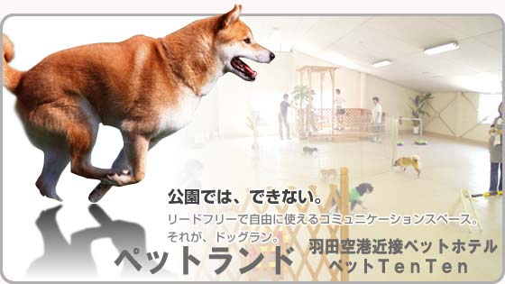 羽田空港近接ペットホテル ペットランドTenTen