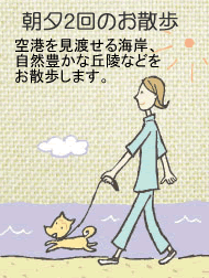 朝夕2回のお散歩