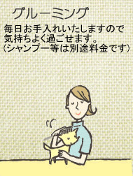 毎日お手入れいたします