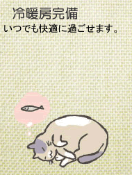 いつでも快適