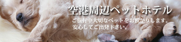 空港周辺ペットホテル