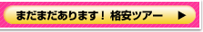ハワイ方面のツアーはこちら