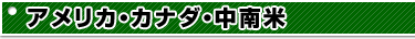 アメリカ