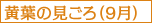 黄葉の見ごろ（9月）