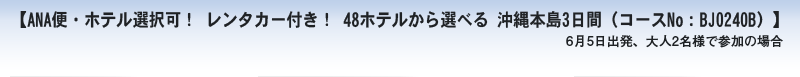【JAL便・ホテル選択可！ 那覇＆リゾート沖縄3日間（コースNo:BJ0240B）】　3月1日出発、大人2名で参加の場合