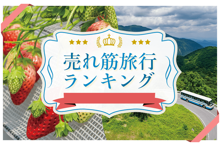 東海発 バスツアー（日帰り・宿泊）売れ筋旅行ランキング｜阪急交通社