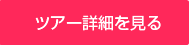 ツアー詳細を見る