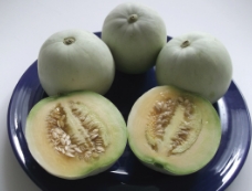 プリンスメロン