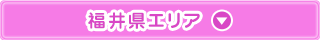 福井県エリア