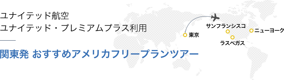 アメリカフリープランツアー