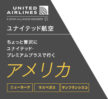 ユナイテッド航空　ちょっと贅沢にユナイテッド・プレミアムプラスで行くアメリカ　ニューヨーク／ラスベガス／サンフランシスコ