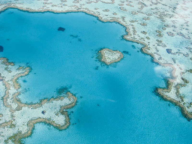 グレートバリアリーフ