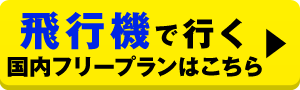飛行機で行く　国内フリープランはこちら